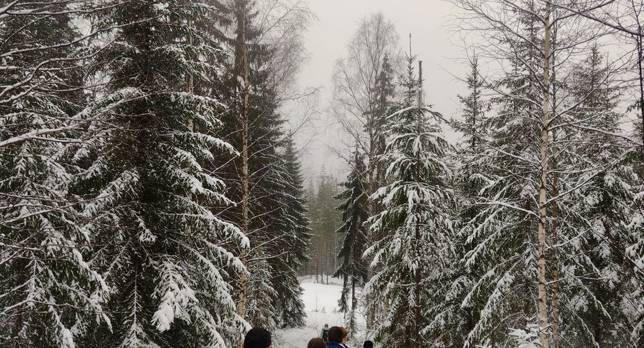 Sneeuwschoenentocht groepsreis Zweden Sneeuwschoenentocht groepsreis Zweden